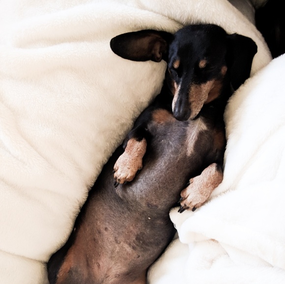 Meet your Posher, Katie - Picture 3 of 6